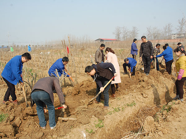 ���Ź�˾��֯��չֲ���˶�