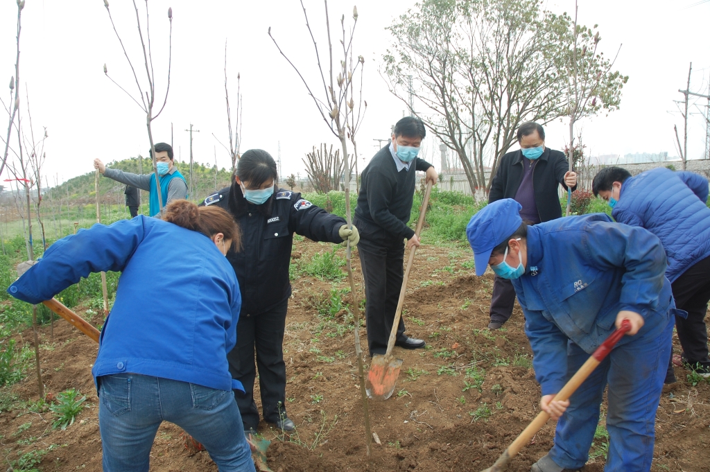 ���Ź�˾��֯��չֲ����ֲ���˶�